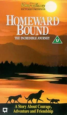 Homeward Bound: The Incredible Journey | Walt Disney Videos (UK  