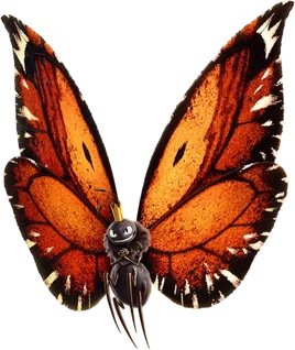 Titus | Walt Disney Animation Studios Wikia | Fandom