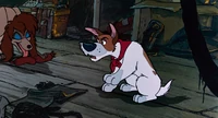 Oliver-co-disneyscreencaps.com-1746