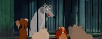 Lady-tramp-disneyscreencaps.com-6939