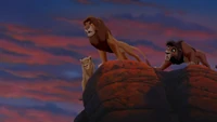 Lion-king2-disneyscreencaps.com-8543