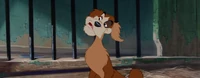 Lady-tramp-disneyscreencaps.com-6938
