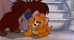 Oliver And Company Rita