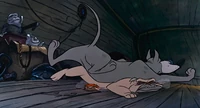 Oliver-co-disneyscreencaps.com-1986