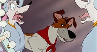 Oliver-co-disneyscreencaps.com-5104