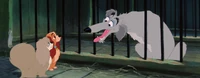 Lady-tramp-disneyscreencaps.com-6541