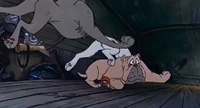 Oliver-co-disneyscreencaps.com-1985