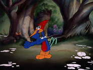 WoodyWoodpecker-gallery-2