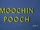 Moochin Pooch