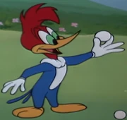 WoodyinWoodpeckerinTheRough