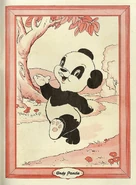 Inside Back Cover (ibc)