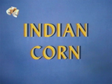 Indian Corn