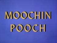 Moochinpooch-title-2-.png (703 KB)