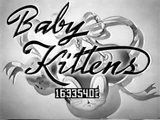 Baby Kittens