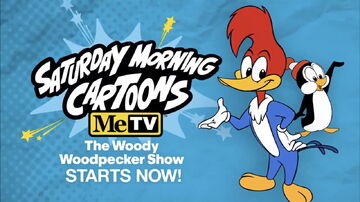 The woody best sale woodpecker show