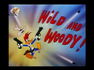 Title card (90's Master, CTC aired)