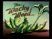 Weed-title-1-.jpg (25 KB) Title card (Unrestored)