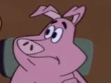 Pig