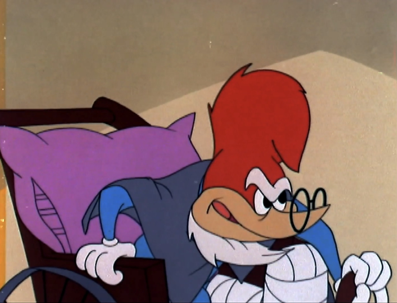 The Woody Woodpecker and Friends Classic Cartoon Collection Volume 2, The  Woody Woodpecker Wiki