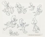 Classic Woody Woodpecker model sheet