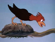 Woody Woodpecker (cartoon) | Walter Lantz Wiki | Fandom