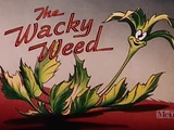 The Wacky Weed