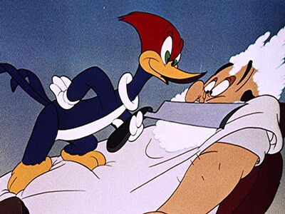 Wally Walrus, The Woody Woodpecker Wiki