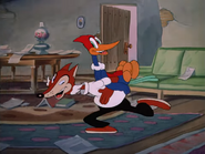 WoodyWoodpecker-gallery-4