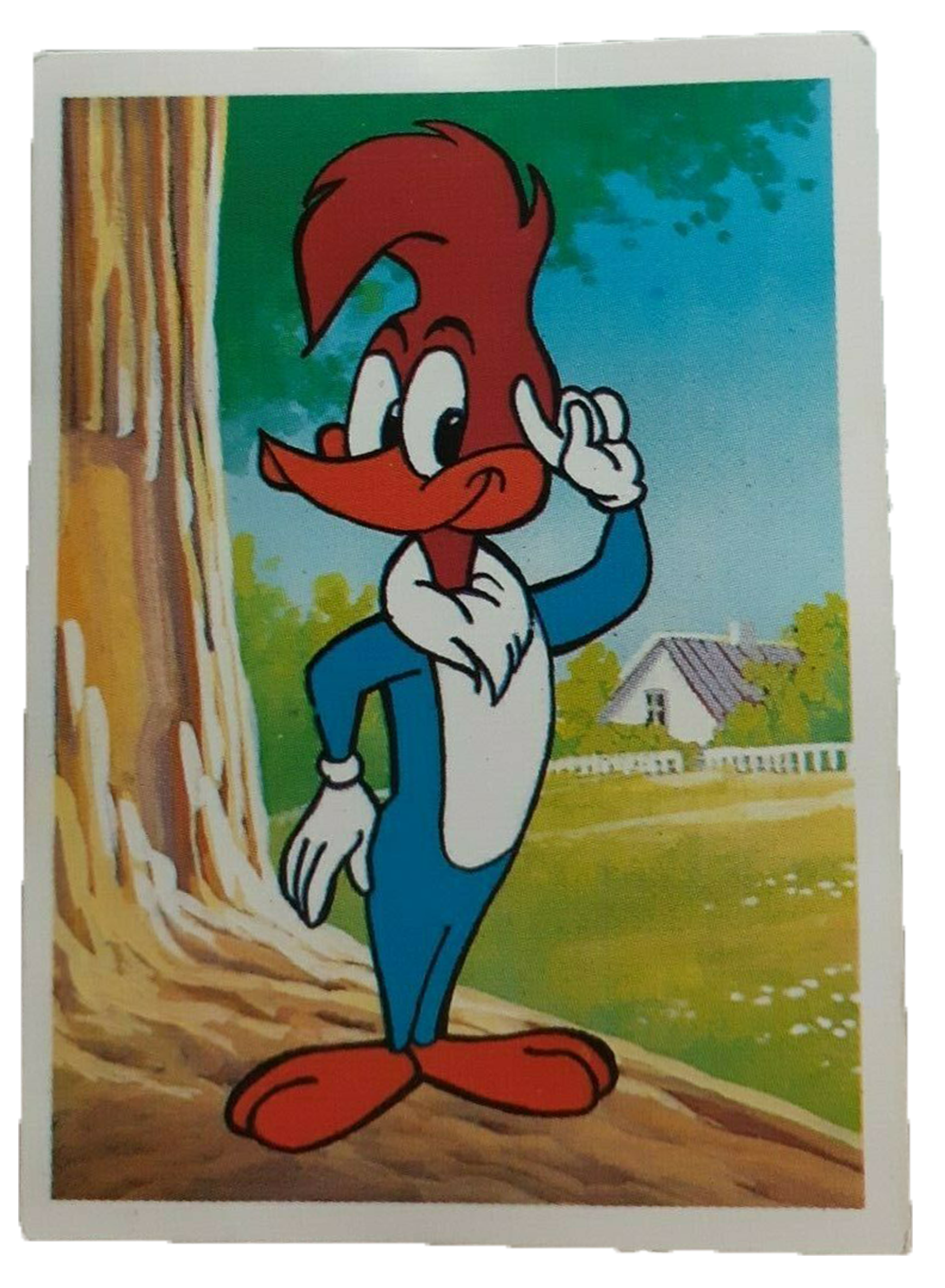 25 ideas de El pajaro loco  dibujos animados, walter lantz, pajaros