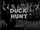 Duck Hunt
