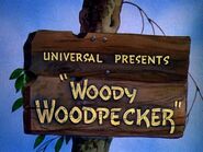 Woody Woodpecker (1941)