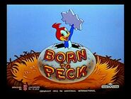 Born to Peck (1952)