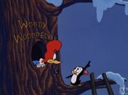 Woody with Chilly Willy in Fractured Friendship