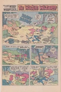 Woody Woodpecker - The Water Wizard