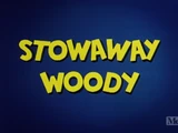 Stowaway Woody