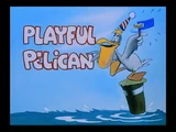 Playful Pelican