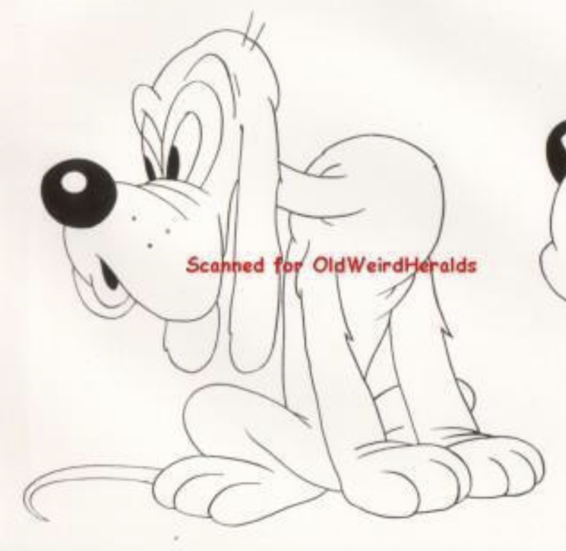 Wrinkle Puss Walter Lantz Wiki Fandom