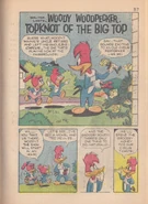 Woody Woodpecker - Topknot Of The Big Top