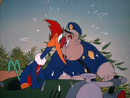 WoodyWoodpecker-gallery-15