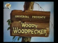 Woodywoodpecker-title-3-