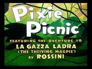 Pixie Picnic (1948)