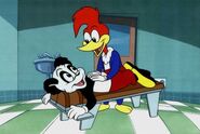 Woody-woodpecker-andy-panda-chiropractic-1-