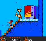 BearGBC.png (3 KB) Windy in the Woody Woodpecker GBC game.