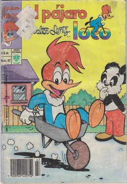 Vid vol 2 - El Pajaro Loco 47 - 1