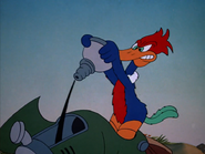 WoodyWoodpecker-gallery-9