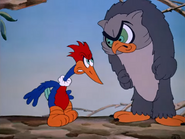 WoodyWoodpecker-gallery-1