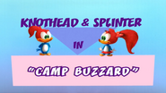 Camp Buzzard