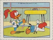 Splinter and Knothead - Judo - 1988 Olympics Trading Card - Editorial Vid.jpg (271 KB)