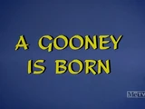 A Gooney is Born