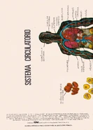 El Pajaro Loco 795 - 02.jpg (232 KB)